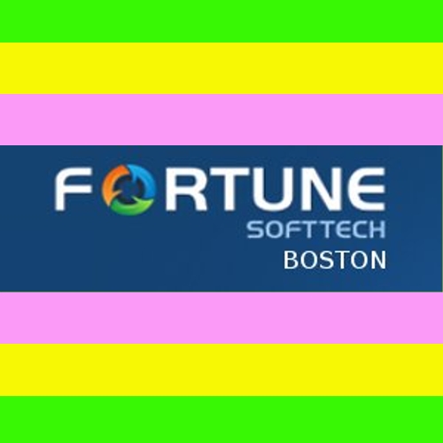 Boston Fortune Softtech