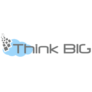 Think Big Software